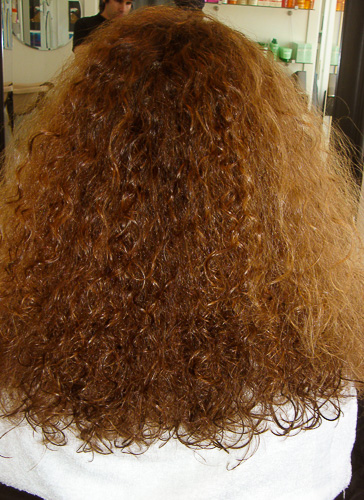 Curly Hair Before Keratin Smoothing Treatment